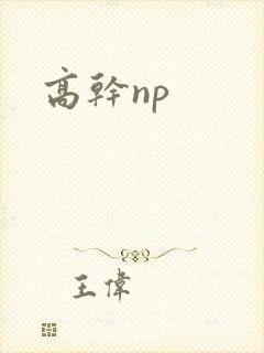 高干np