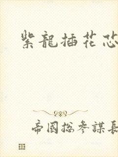 紫龙插花芯方正