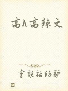 高h高辣文