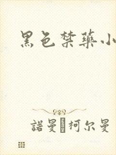 黑色禁药小说