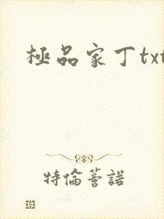 极品家丁txt