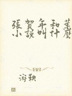 张贺年和叶繁姿小说叫什么名字