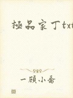 极品家丁txt