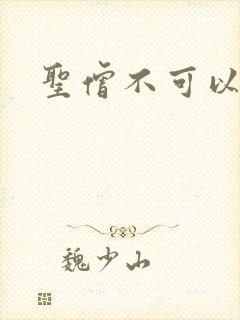圣僧不可以