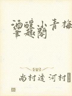 酒酿小青梅po笔趣阁