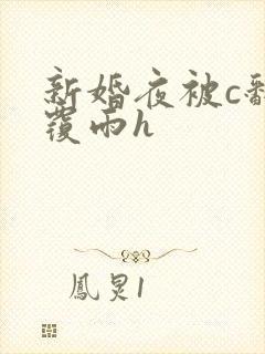新婚夜被c翻云覆雨h