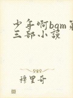 少年啊bgm第三部小说