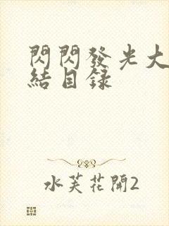 闪闪发光大团圆结目录