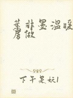 叶非墨温暖在厨房做