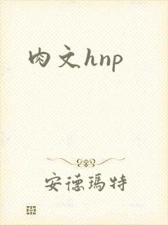 肉文hnp