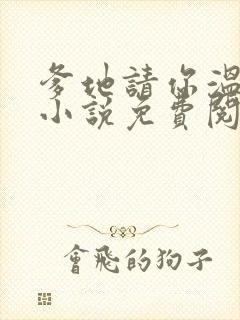 爹地请你温柔点小说免费阅读