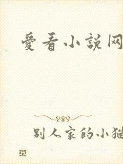 爱看小说网