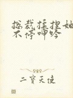 总裁揉捏她两乳不停呻吟