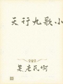 天行九歌小说