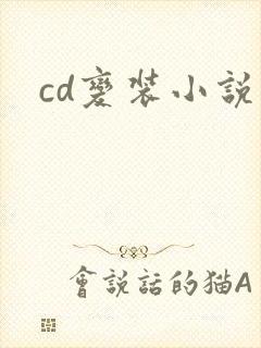 cd变装小说