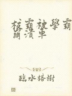 校霸被学霸玩到崩溃车