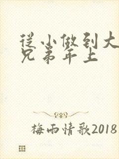 从小做到大骨科兄弟年上