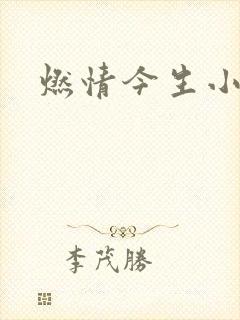 燃情今生小说