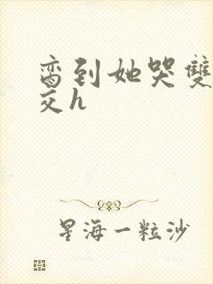 脔到她哭双根宫交h