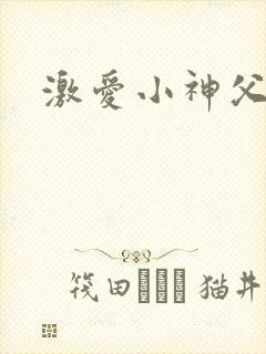 激爱小神父