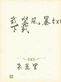 武装风暴txt下载