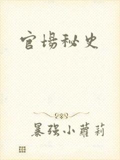 官场秘史