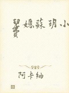 儿媳苏玥小说免费