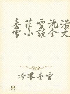 秦菲雪沈浩秦菲雪小说全文免费阅读求书