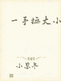 一手抚大小说