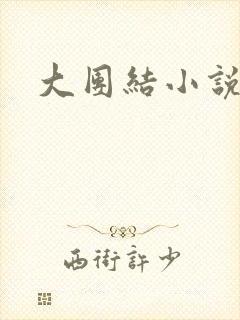 大团结小说阅读