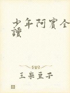 少年阿宾全集阅读