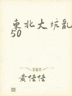 东北大坑乱1—50