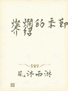 灿烂的季节剧情介绍