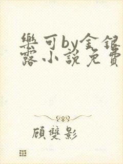 乐可by金银花露小说免费阅读