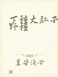 下种大肚子怀孕野种