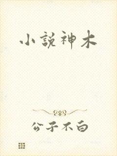小说神木