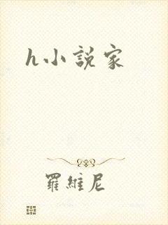 h小说家