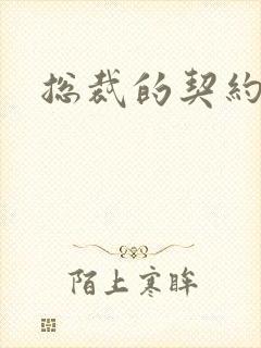 总裁的契约情人