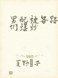 男配被各路大佬们爆炒