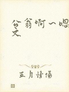 公翁啊～嗯啊h文