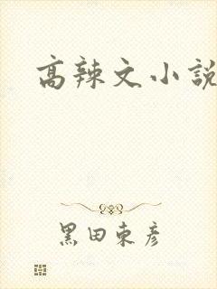 高辣文小说