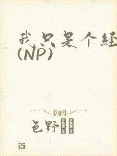 我只是个经纪人(NP)