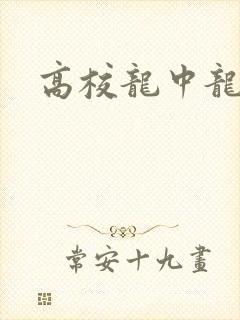 高校龙中龙