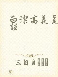 白洁高义美红小说