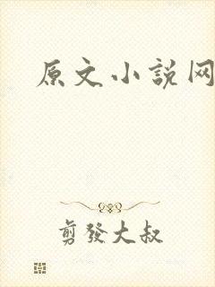 原文小说网