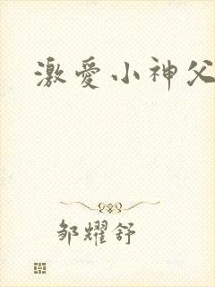 激爱小神父