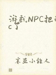 游戏NPC把我c了