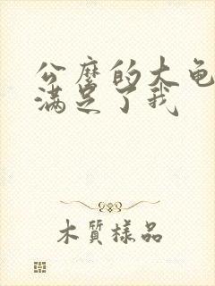 公么的大龟强大满足了我