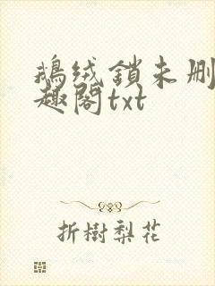 鹅绒锁未删除笔趣阁txt