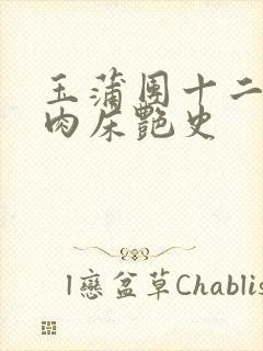 玉蒲团十二寡妇肉床艳史